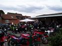 ⁮Wietze 31